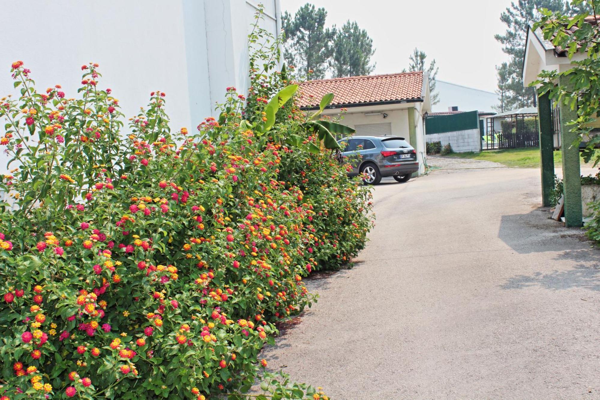 Residencial Pinho Verde メアリャーダ エクステリア 写真